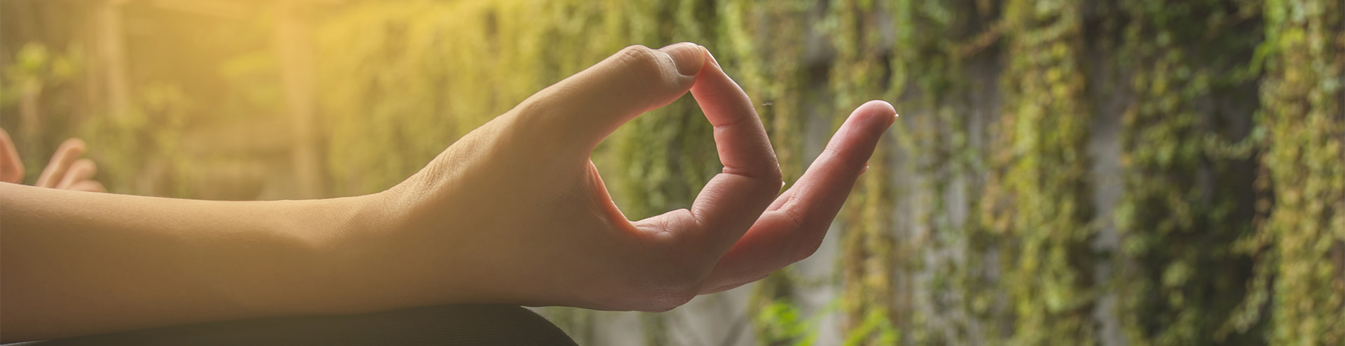 O que é Mindfulness