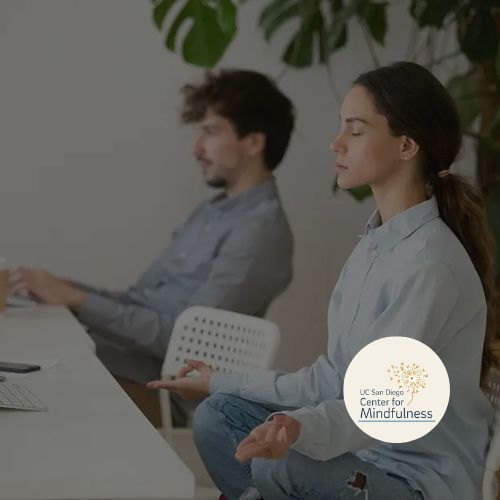 Como funciona um programa